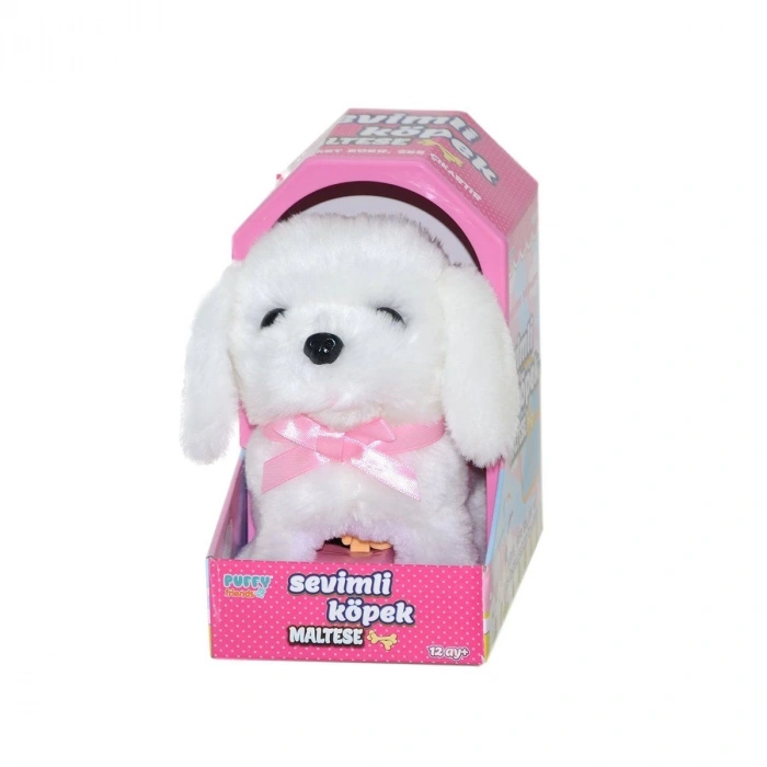 47100 Sevimli Köpek Maltese