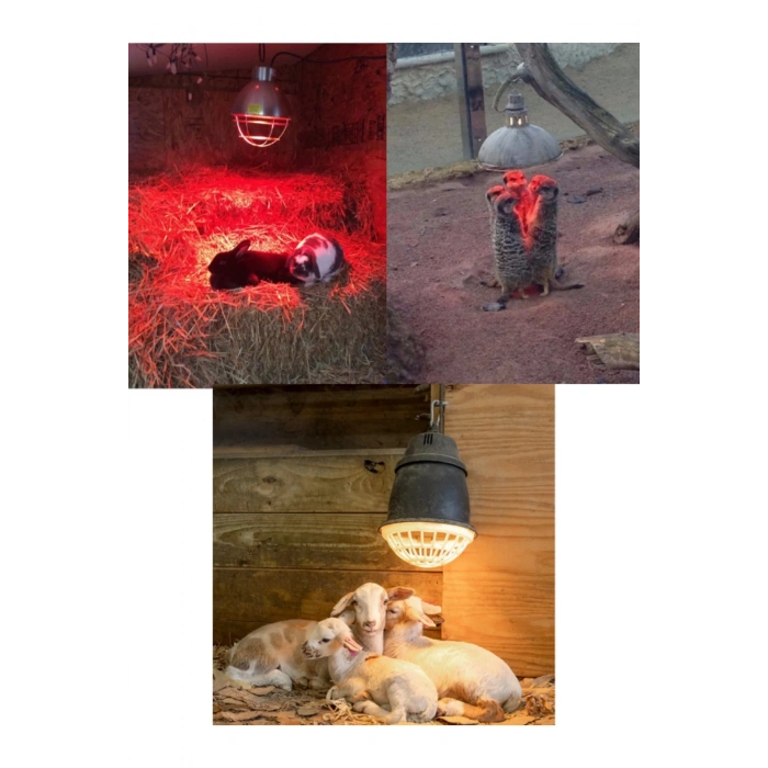 (6 Adet) 250W Kızılötesi Isıtıcılı Hayvan Isıtma ve Kuluçka Lambası (Kırmızı Işık) E27 (Kalın Duy)