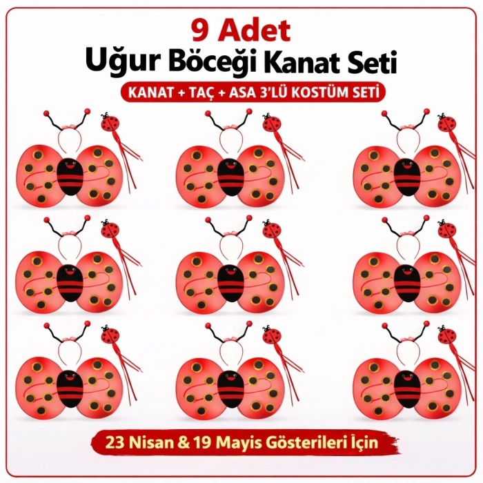 9’lu Uğur Böceği Ateş Böceği Kostüm Seti – Kanat Taç Asa (5047)