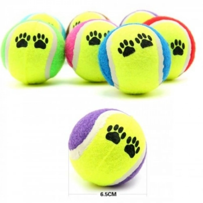 At Getir Köpek Eğitim Topu Bx40