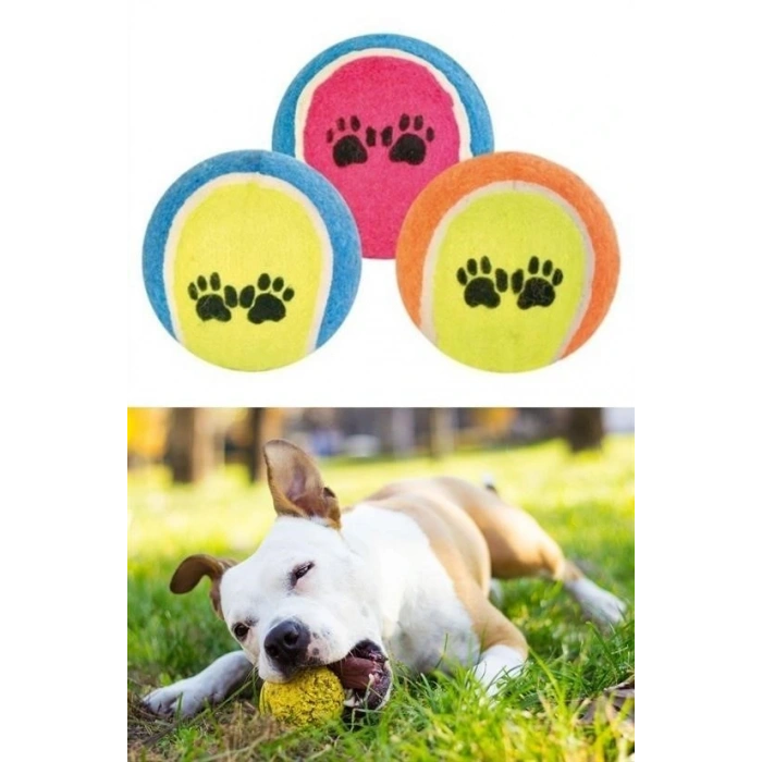 BUFFER®  3lü Renkli Desenli Tenis Topu Kedi Köpek Oyuncağı