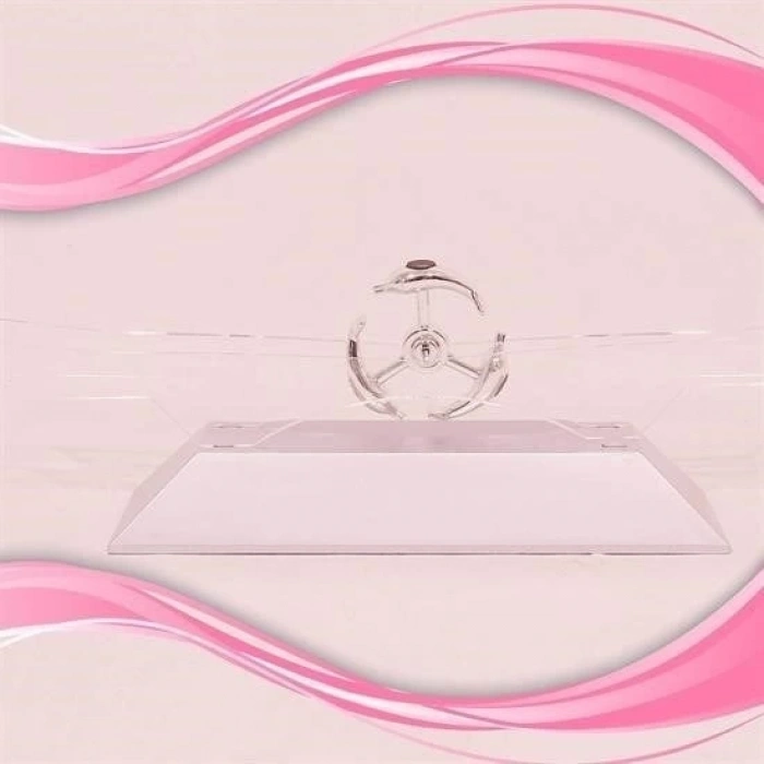 Dekoratif Masa Üstü Obje Manyetik Kinetik Orbital Dönen Yunuslar