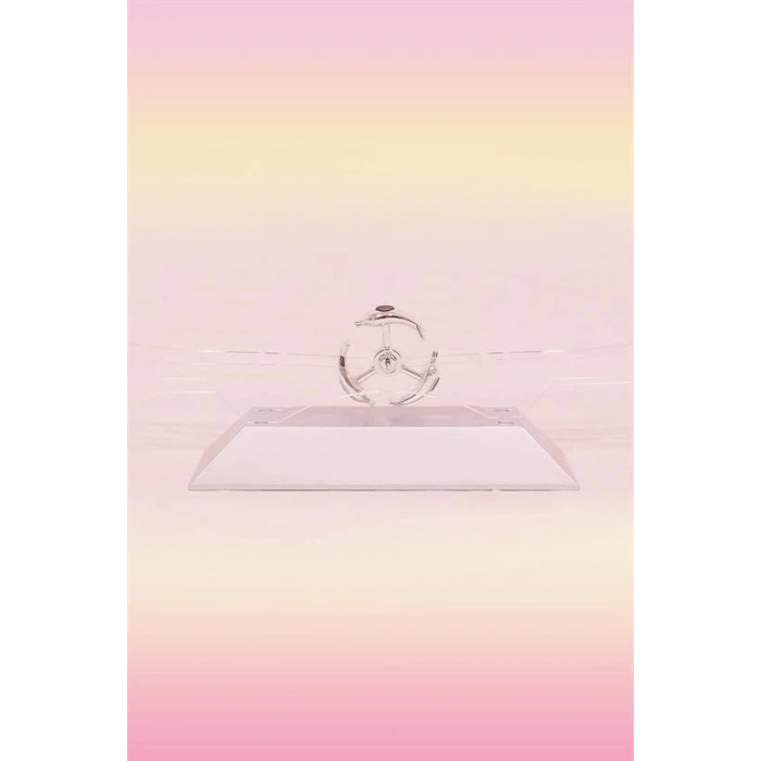 Dekoratif Masa Üstü Obje Manyetik Kinetik Orbital Dönen Yunuslar