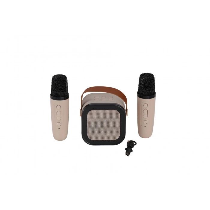 EMR-102 KUTULU 2Lİ KARAOKE MİKROFON