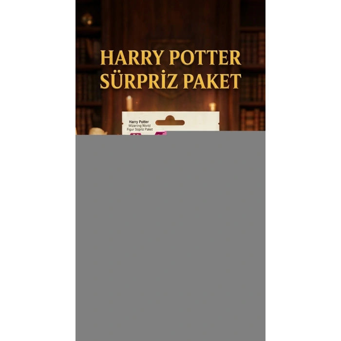 Harry Potter Koleksiyon Figür Sürpriz Paket Oyuncak 1 Adet