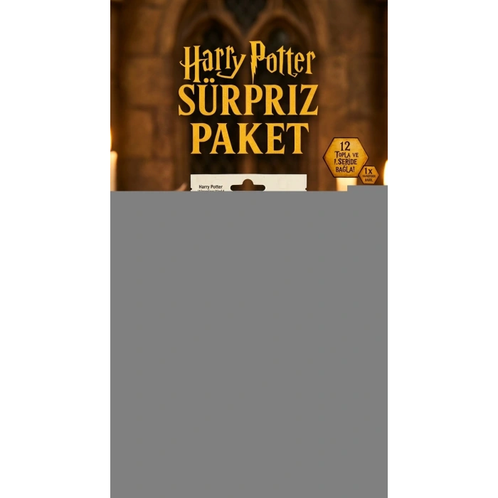 Harry Potter Sürpriz Figür Oyuncak Koleksiyon Kutusu