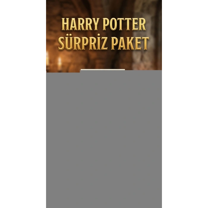 Harry Potter Temalı Sürpriz Figür Koleksiyonu Oyuncak Seti