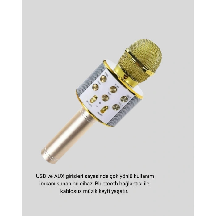 Karaoke Mikrofonu Bluetooth USB AUX Girişli Yankı Efektli