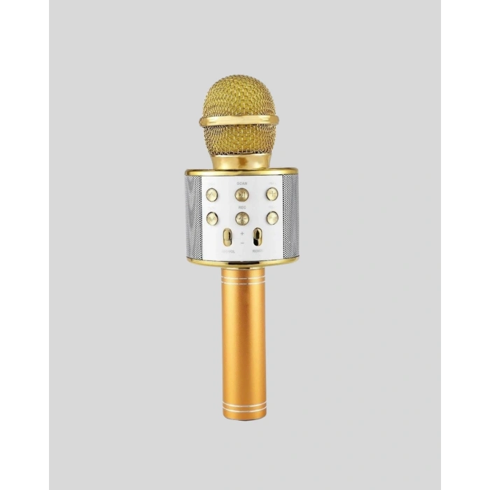 Karaoke Mikrofonu Bluetooth USB AUX Girişli Yankı Efektli