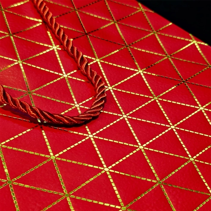 Kırmızı Geometrik Desenli Orta Boy Karton Hediye Çantası