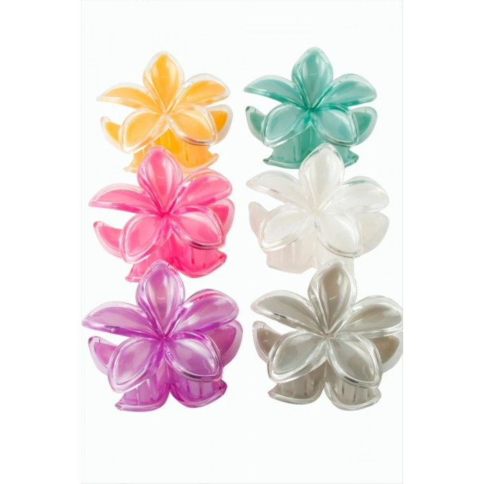 Lotus Renkli Mandal Toka 8 cm
