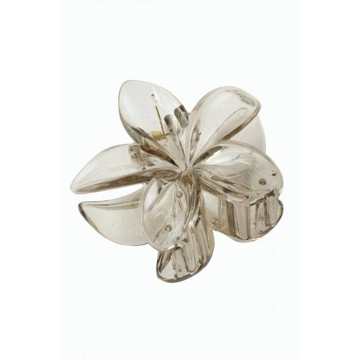 Lotus Toka 8 cm