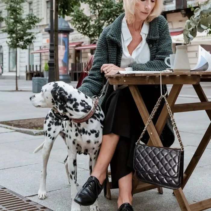 Masaya Takılabilen Çanta Askısı Çanta Tipi Pratik Metal Çanta Kanca - Stokta Olan Gönderilir