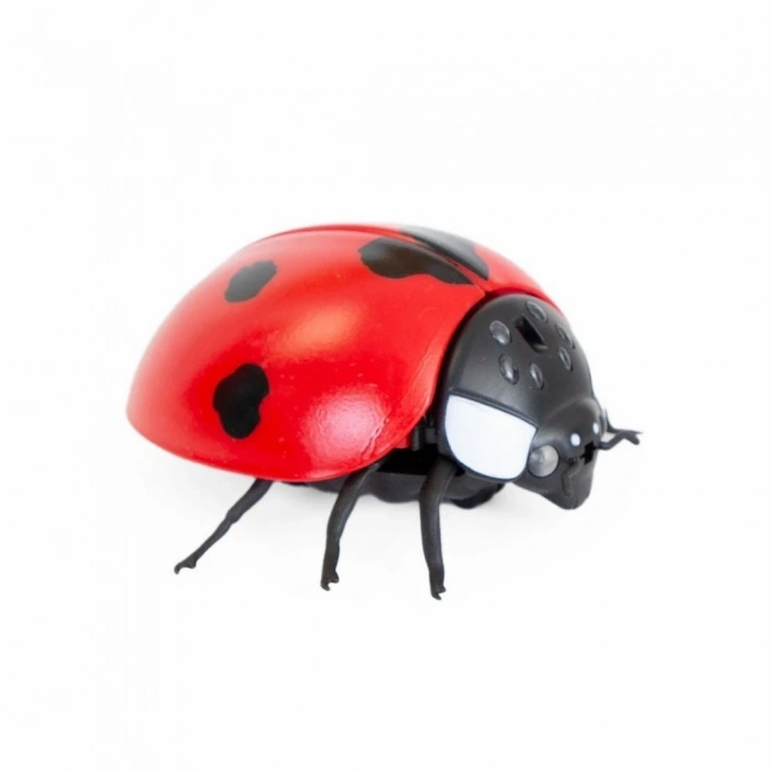 Oyuncak Işıklı Uğurböceği