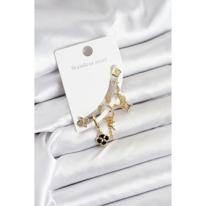 Pirinç Gold Renk Kadın Set Küpe