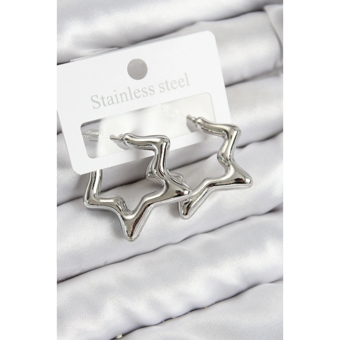 Pirinç Yıldız Model Gümüş Renk Kadın Küpe