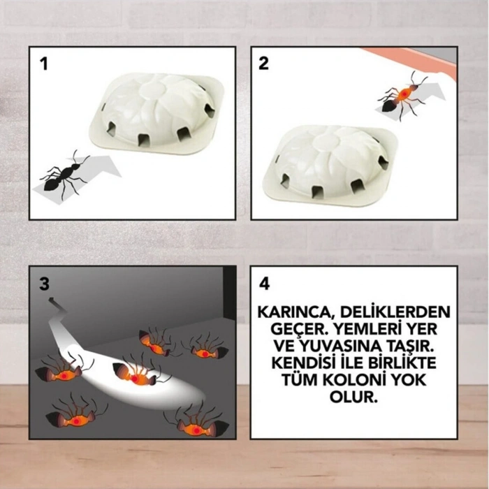 Raid 2 Parça  Karınca Yemi Bx40