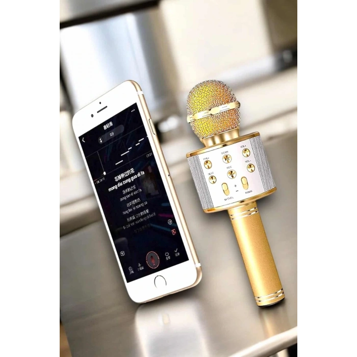 Şarjlı ve Uzun Pil Ömürlü Karaoke Mikrofon USB Bellek Destekli, Profesyonel Ses