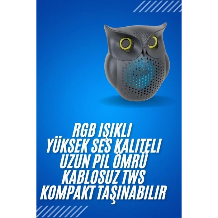 Siyah Bluetooth Hoporlör Baykuş Speaker Bluetooth 5.0 Bağlantılı