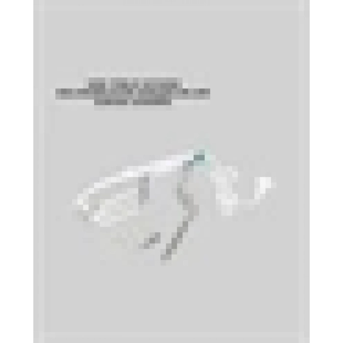 Taşınabilir Buharlı Ütü 1500W | Giysilerde Yanık Bırakmaz, Kokuyu Giderir