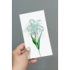 100 Adet Şeffaf Renkli Lotus Toka 8 cm Kına Seti