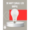30W Şarjlı LED Ampul E27 Duy %80 Enerji Tasarruflu Soğuk Beyaz