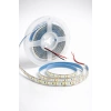 5 METRE CATA CT 4538 240 Çipli İç Mekan Şerit Led 4000K Ilık Beyaz