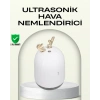 ABS+PP Malzemeli Taşınabilir 220 ml USB Mist Nemlendirici