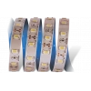Eco Lounge 5 METRE CATA CT 4535 İç Mekan 12V 12 Çipli  Şerit Led 6400K Beyaz Işık