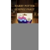Harry Potter Koleksiyon Figür Seti 2li - Sürpriz Temalı Oyuncak