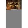 Harry Potter Temalı Sürpriz Figür Koleksiyonu Oyuncak Seti
