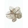 Lotus Toka 8 cm