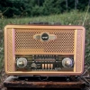 Retro, Nostaljik, Ahşap Tasarım Bluetooth Hoparlörlü, Şarjlı, Taşınabilir Otantik Tasarımlı FM/AM Destekli Radyo NS8098 (5047)
