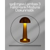 USB Şarjlı Dokunmatik LED Masa Lambası – 3 Renk Modu & Dimmer