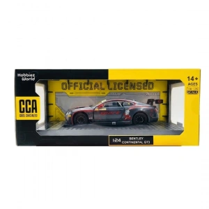 1/24 Bentley Continental GT3 Silver Grey Model Araba