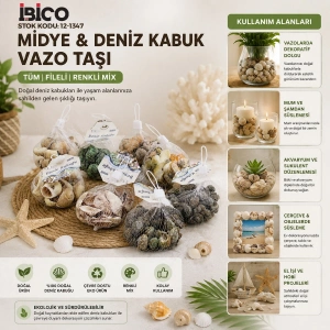 20 ADET FİLELİ RENKLİ MİX EKO MİDYE - DENİZ KABUK VAZO TAŞI (5047)