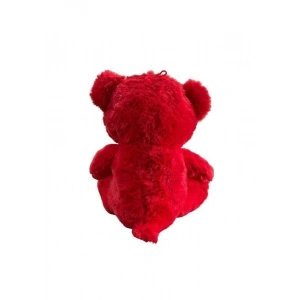 30 CM AY YILDIZ TEMALI AYICIK -HLY