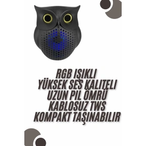 Bluetooth Hoparlör TWS Kablosuz RGB Işıklı Dekoratif Taşınabilir Baykuş