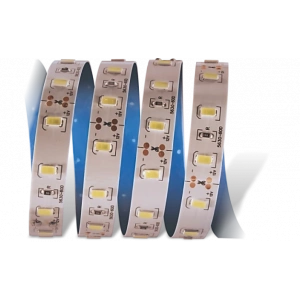 Eco Lounge 5 METRE CATA CT 4535 İç Mekan 12V 12 Çipli  Şerit Led 6400K Beyaz Işık