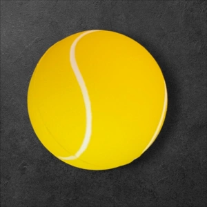 Evcil Hayvan Oyun Topu Small