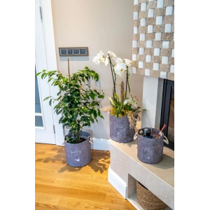 Kulplu Yuvarlak Düzenleyici Çok Amaçlı Kolay Taşınabilen Organizer Keçe Sepet (mega) 03648