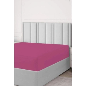 Pamuk Çift Kişilik Lastikli(fitted)  Penye Çarşaf Fuşya