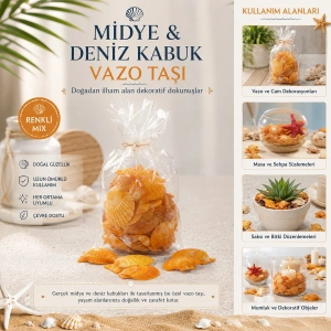 POŞETLİ RENKLİ MİX MİDYE - DENİZ KABUK VAZO TAŞI (5047)