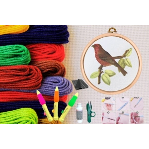 Punch Seti Nakış Seti Kasnaklı Kendin Yap Seti Seri 24