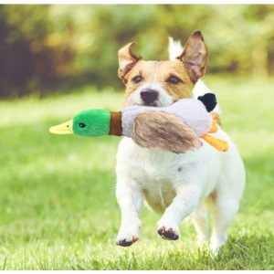 Sesli Ördek Şekilli Peluş Köpek Oyuncağı