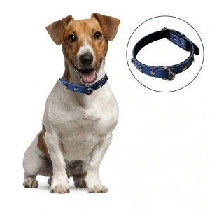 Yumuşak Dokulu Deri Köpek Gezdirme Boyun Tasması (Large) (5047)