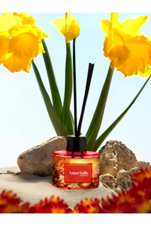 Oda Kokusu Bambu Çubuklu Büyük / Çiçek-Paçuli