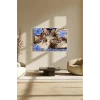 Sayılarla Boyama Seti 40 x 50 cm Tuval Şasesine Gerili Boncuk Kediler