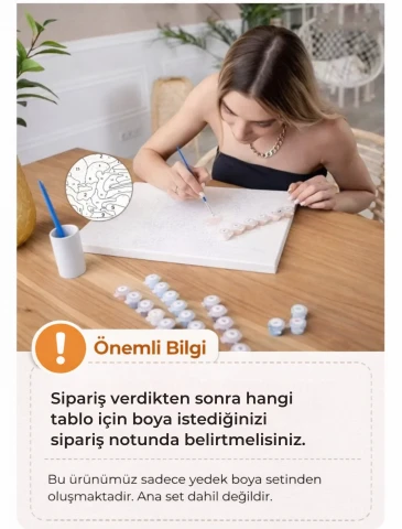 Sayılarla Boyama - Boya Seti