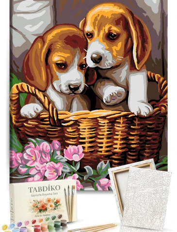 Sayılarla Boyama Seti 40 x 50 cm Tuval Şasesine Gerili Yavru Köpekler